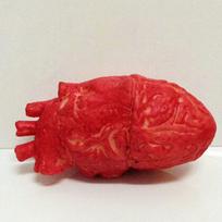 1PCSx Gory Bloody Human Heart Fake Halloween Prop Body Part Scary Toy
