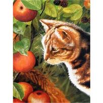 Pilnas deimantinis dažymas kačių 5D „pasidaryk pats“ deimantinis siuvinėjimas gyvūnų mozaikos paveikslėlis, namų dekoravimas 20X30CM raudona