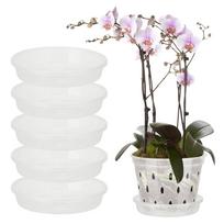 Orchidėjų vazonai su skylėmis Kvėpuojantis skaidrus plastikas Orchidėjų sodinukas Augalų vazonas Vidaus lauko sodui