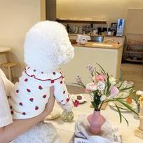 Pet Strawberry Base Shirt, Teddy Bear Fon Poodle, Small Dog Clothes, Kitten Cat Spring and Autumn New Clothing XS balta