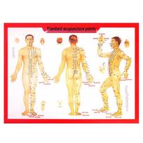 Human Body Meridian Acupoint and Moxibustion Wall Chart Small Human Acupoint Chart (280X210mm/sheet) beige