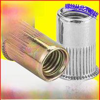 Cinkuota 304 nerūdijančio plieno vertikalios tekstūros įleidžiama kniedė (M4/M5/M6/M8) M3*9 (Zinc Plated, Color)