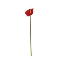 Simuliacija 3D Anthurium gėlė Svetainė Namų išdėstymas Simuliacija Gėlių puokštė Flamingo Anthurium red