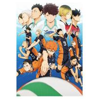 Anime Plakatas Vaikinas Tinklininkas Drobės Tapyba Haikyuu Japoniško Stiliaus Animacinis Plakatas Cuadros Sienų Menas Paveikslai Svetainei 21*30cm