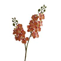 Dirbtinės kandžių orchidėjos 2 šakutės realistiška netikra šilkinė gėlė vestuvių vakarėliui namų biuro stalo puošmena netikra Phalaenopsis gėlių šaka dekoracija oranžinė