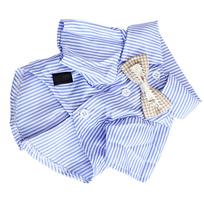 Dryžuotas šunų marškinėlis Kvėpuojantis Laisvalaikio Trumpomis Rankovėmis Šuniukų Drabužiai su Kaspinėliu Teddy Pomeranui Pavasariui Rudeniui Mėlynas M M Size: 44 X 44 X 34cm / 17.32 X 17.32 X 13.39in mėlyna