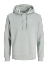 JJ REBEL - Jrebrebel Logo Sweat Hood Noos - Džemperis - Žalia