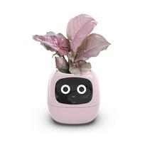 Intelligent Lazy Automatic Water Absorbing Flowerpot Plastic Resin Circular Usb Rechargeable Indoor Plant Small Flowerpot YLE22 Medium rožinė