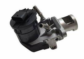 EGR Valve for Exhaust Gas Recirculation (Part No. 11717810871)