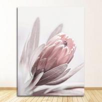 Skandinaviškas gyvenamojo miegamojo kambario apdaila Nuotraukos Gėlės Sienos Menas Bijūnas Plakatai Gėlių meno spaudinys Protea Rose Drobės tapyba 21cm×30cm NoFrame