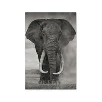 Wild Black and White African Elephant Canvas Painting Animal Posters and Prints Wall Art Pictures for Living Room Home Decor 21*30cm