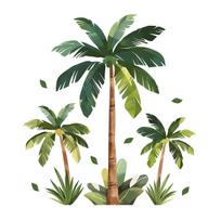 Lipdukų ant sienos palmių medis Lipdukas Tropinių augalų Dekoracija Svetainei Miegamajam Koridoriui Fonas 30x90cm įvairiaspalvis