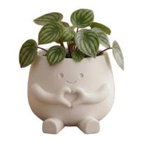 Flowerpot Ornaments 3D Printing Cute Desktop Plant Holder Durable PLA Home Decoration for Succulent Plants D