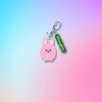 Stray Kids Acrylic Keychain with Member Name Charm, Cute Chubby Characters Bag Pendant, STAY Fans Kpop Accessory CHANGBIN