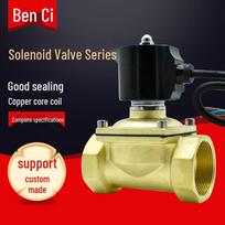 2-Inch Waterproof Brass Underwater Solenoid Valve 2W-160-15 1/2 inch DC 24V