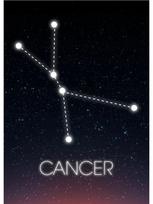 Zodiako žvaigždės žvaigždyno plakatai Skorpionas Liūtas Avinas Mergelė Drobė Tapyba Sienų Menas Paveikslas gyvenamojo kambario namų dekoravimui 21x30cm No Frame