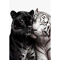 Juodasis Pantera Baltasis Tigras Leopardas Menas Drobės Tapyba Plakatas Spaudinys Senovinis Sienos Modernus Namų Svetainė Miegamasis Virtuvės Dekoras 21X30CMNo Framed
