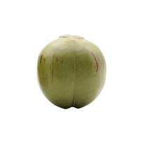 Green Artificial Coconut Lifelike Fake Coconut Fruit Creative Simulated Coconuts  Farmhouse Decor Single Head S