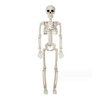 Helovyno skeletas viso kūno slankiojantys sąnariai Realistiški žmogaus skeleto papuošimai vakarėliui namuose vaiduokliška gudrybė ir šventinis žaislas D