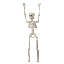 1 PC Craft Anatomy Anatomical Model Human Skeleton Halloween Bone 40cm