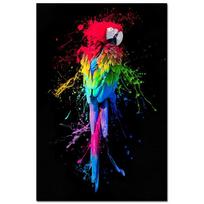 Spalvinga graži papūga paukštis grafiti menas drobė tapyba siena paveikslėlis gyvūnai plakatai ir spaudiniai Svetainės apdaila Be rėmelio 21*30cm