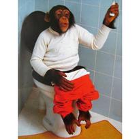 diamond Painting diy orangutan sitting in the toilet diamond embroidery bathroom accessory rhinestones 5d diamond mosaic AA211 20x25CM black