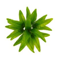 Dirbtiniai paparčiai lauko sodintuvams Didelis, atsparus UV spinduliams, gyvas dirbtinis papartis One Size