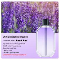 Įkraunamas nešiojamas aromato difuzorius Eterinių aliejų aromaterapijos prietaisas Laikmatis oro gaiviklis kvapams šalinti 5 režimai su laikmačiu purškiamas lavender