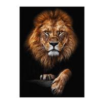 Juodai balti gyvūnai Menas Liūtas drobė Tapyba Šiuolaikiniai plakatai ir spaudiniai Sienų nuotraukos gyvenamojo kambario namams Cuadros dekoras 20x30cm brown