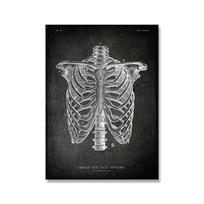 Vintažinis žmogaus anatomijos plakatas, medicininis sieninis paveikslas, raumenų skeletas, spausdinimas ant drobės, tapyba ligoninės, klinikos dekorui 21x30cm No Framed