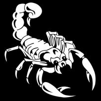 1 Piece 30cm Cute 3D Scorpion Car Stickers Car Styling Vinyl Decal Sticker for Cars Acessories balta