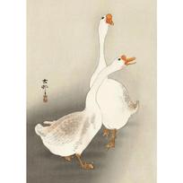 Japanese Ohara Koson Ukiyo Wall Art Poster Vintage Goldfish Lotus Owl Crane Canvas Painting for Guest Room Home Bar Cafe Decor 21*30cm No Frame