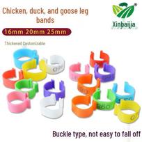 Reguliuojamos įvairiaspalvės paukštienos kojų juostelės su tekstu vištoms, antims ir žąsims 16mm Plain Leg Ring - 1 Piece
