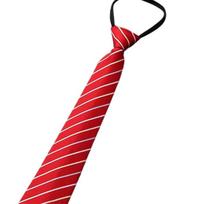 Male Zipper Design Neck Tie for Business Necktie Formal Suit Accessories blue
