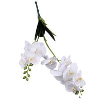 Dirbtiniai drugeliai Orchidėja Orchidėjos Gėlės Plastikas balta