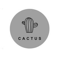 Tylus baldų lipnus sienos apsaugas durų atrama durų stabdiklis durų rankenos buferis Round-Grey-Cactus