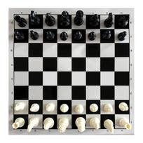 25cm Vintažiniai drožinėti sulankstomi PS šachmatų figūrėlės vaikams su perlamutrine plėvele, patogios laikyti International Chess