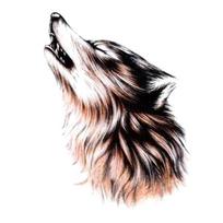 Vandeniui atsparus laikinas perkėlimo vilko rankos tatuiruotės lipdukas Body Art Lipdukas