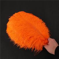 1vnt amatams Spalvingos stručio plunksnos Natūralios odos stručio stalo centrinės detalės 20-25cm orange