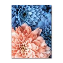 Wall Art Blue Tone Dandelion Peony Orchid Flower Oil Painting Spring Poster and Printmaking Living Room Home Decoration Pictures 21X30CMNo Framed