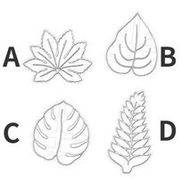 2pc Green Leaf Diy Plastic Cookie Mold Fondant Baking Tool 1PC A 1PC B
