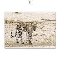 Kalnų gilės nendrinės plunksnos plakatai šilokai leopardas sienos menas drobės paveikslai ir spaudiniai sieniniai paveikslai svetainės dekoravimui 21x30cm No Framed white