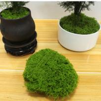 Imitacija samanų pasidaryk pats Dirbtinės samanos žalias augalas dekoravimas kraštovaizdžio bonsai grindinys šilkinis netikras samanos One Size