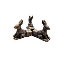 3 vnt. Gėlių vazono kojelės Gyvūnų augalų vazono kojelės Gėlių vazono atrama Vėžlio ornamentai Gyvūnų dervos ornamentai One Size