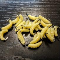 30 vnt. Geltonų guminių lervų žvejybos masalų rinkinys su kabliukais - Universalūs lervų masalai ešeriams, upėtekiams, crappie, mėlynkvapiams - Idealiai tinka gėlavandeniams žuvims 30pcs