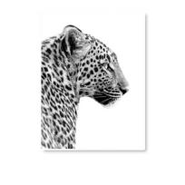 Juodai baltos leopardo ir panteros sienos meno spaudiniai, laukinės gamtos gyvūnų plakatai svetainei namų dekoravimui sienos dekoras, BE RĖMO 21X30cm No Framed