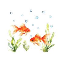 Red Goldfish Design Window Sticker, Transparent Electrostatic Adhesion No Glue Glass Decal for Living Room Bedroom Entrance Hall Home Decor A