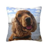 Funny Cool Cocker Spaniel Dog Animal Square Pillowcase Pillow Cover Polyester Cushion Decor Comfort Throw Pillow for Home Sofa 30x30 cm 12x12 in gray