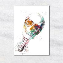 Žmogaus anatomija Plakatas Skeletas Dantų klinika Sienos meno spaudinys Drobės tapyba Spalvingi sienų paveikslai Gydytojo biuro sienų dekoras 21cm×30cm NoFrame white