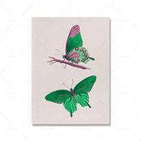 Eklektiškas spaudos augalas Sienų menas Gėlių plakatas Bohemiškas dekoratyvinis senovinis aliejinis paveikslas 21cm×30cm NoFrame
